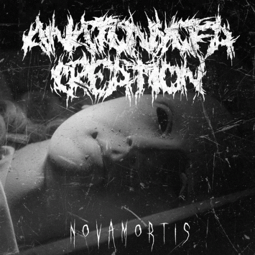 Anatomy Of A Creation : Nova Mortis